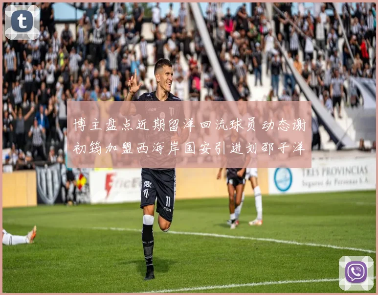 博主盘点近期留洋回流球员动态谢初筠加盟西海岸国安引进刘邵子洋
